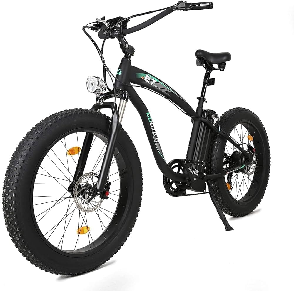 Ecotric Fat Tire Electric Bike 