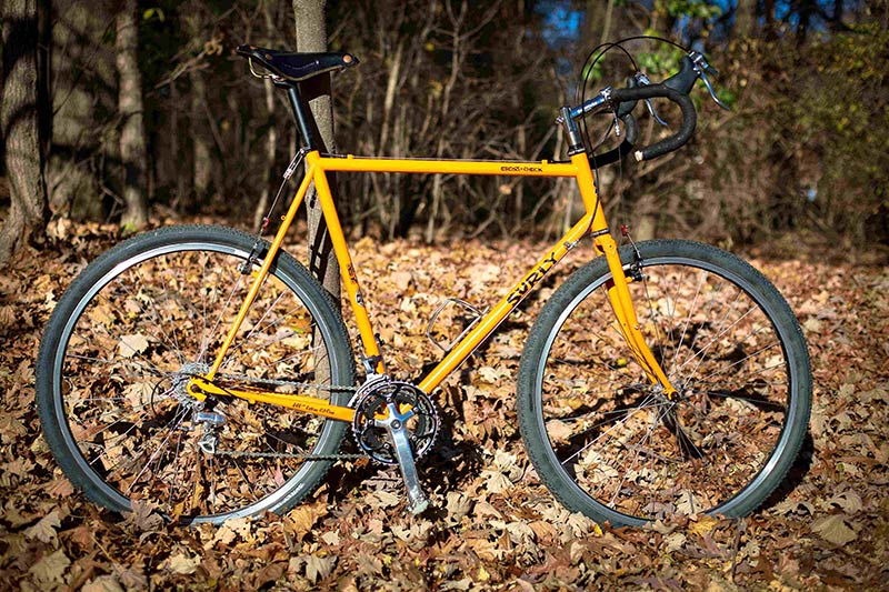 Surly Cross Check standing on fall leaves in the forest