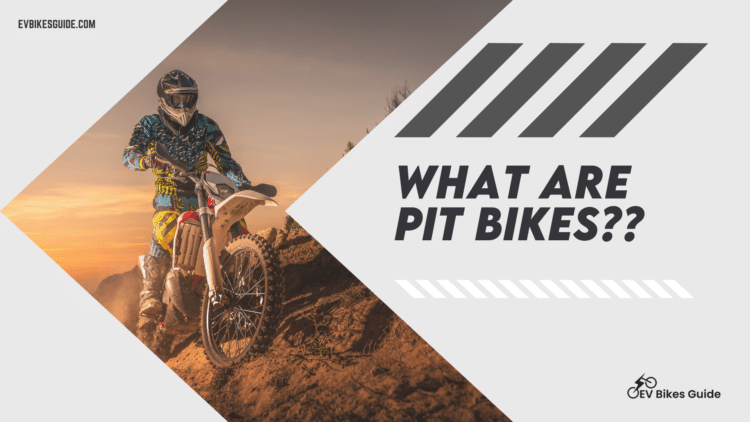 A view of a person riding a pit bike ( )