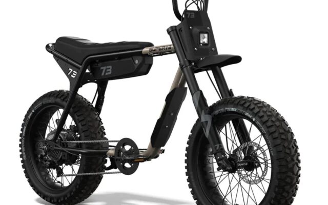 fat tyre e bike
